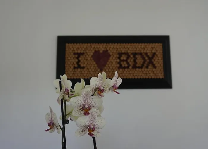 Couette-café La Maison Gavinies Bordeaux