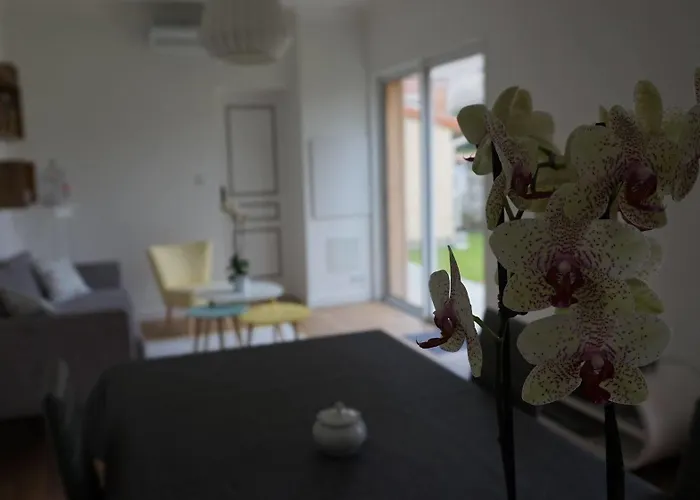 Couette-café La Maison Gavinies Bordeaux