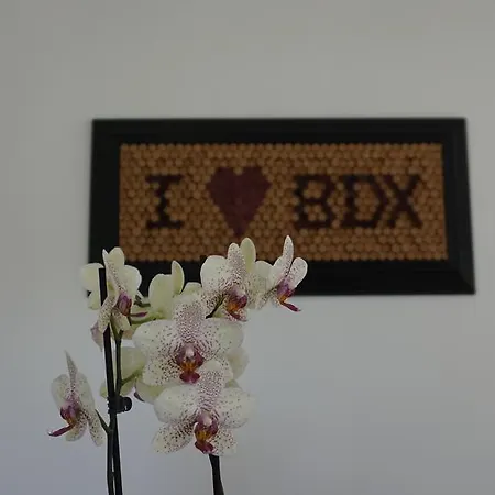 Bed & Breakfast La Maison Gavinies Bordeaux