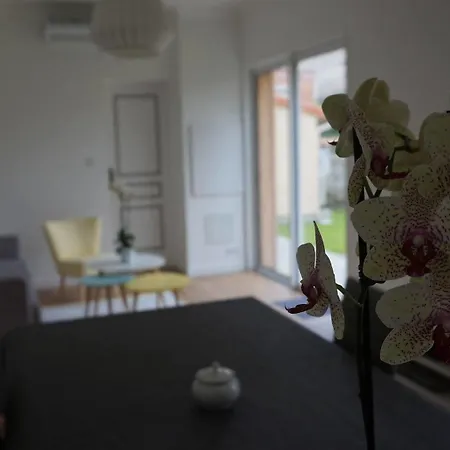 Bed & Breakfast La Maison Gavinies Bordeaux